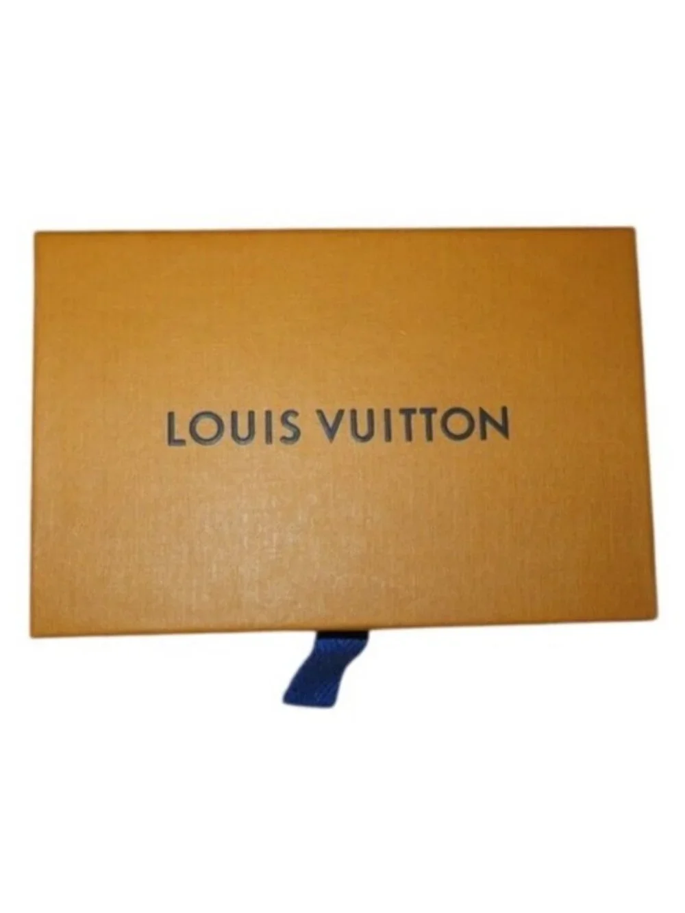 Louis Vuitton authentic louis